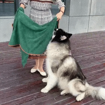 Furvella™ - Pet Bathrobe Towel